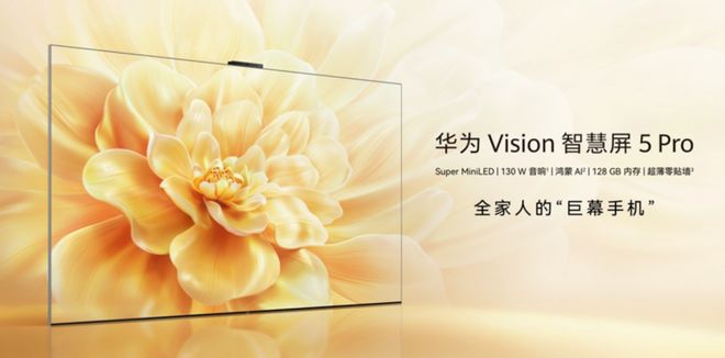 �A��Vision�ǻ���5 Pro�����_�������փr 4799 ��